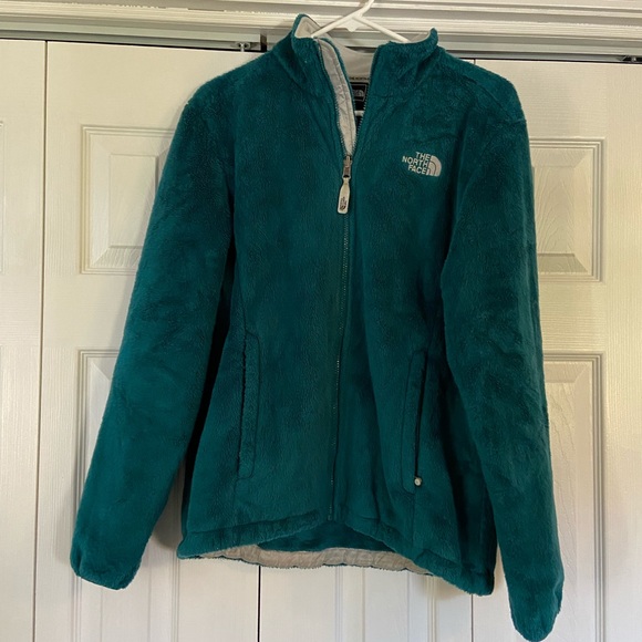 The North Face Jackets & Blazers - North face jacket